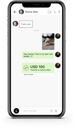 Chat software for business