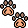 pets Tinder for pets